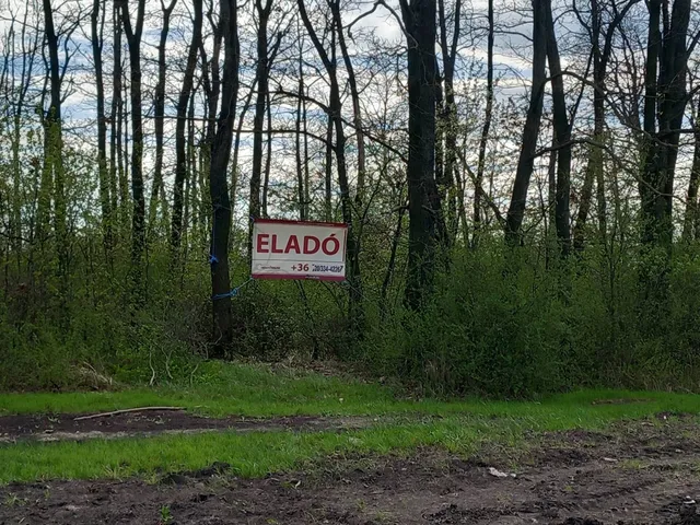 Eladó kereskedelmi és ipari ingatlan Szolnok 4990 nm