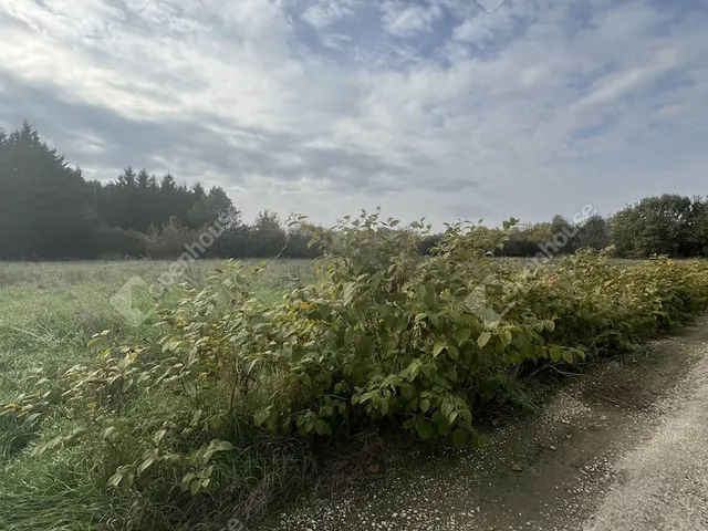 Eladó telek Sé 1208 nm