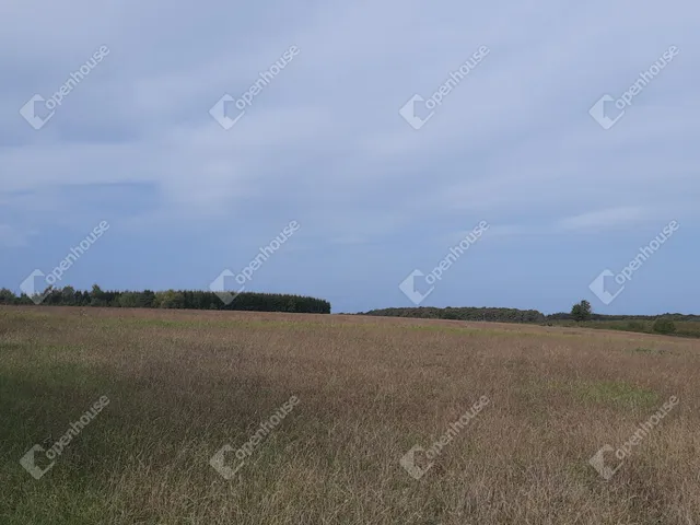 Eladó telek Kondorfa 2113 nm