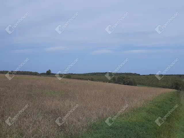 Eladó telek Kondorfa 2113 nm