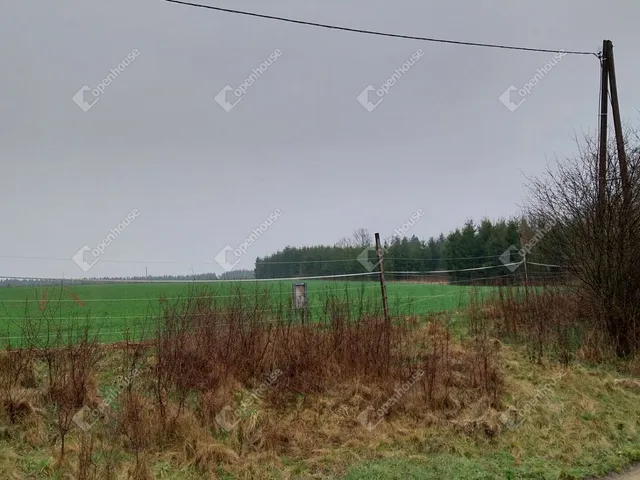Eladó telek Hegyhátszentjakab 6000 nm