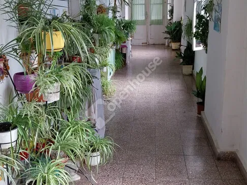Eladó lakás Kőszeg 49 nm