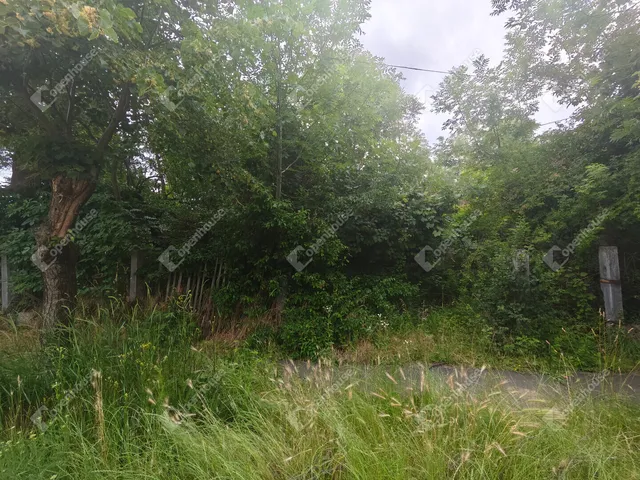 Eladó telek Molnaszecsőd 3536 nm