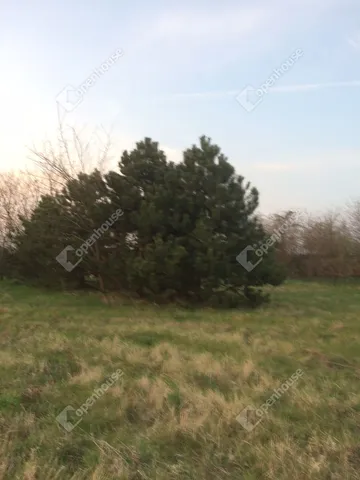 Eladó mezőgazdasági ingatlan Tata, Újhegy 7472 nm