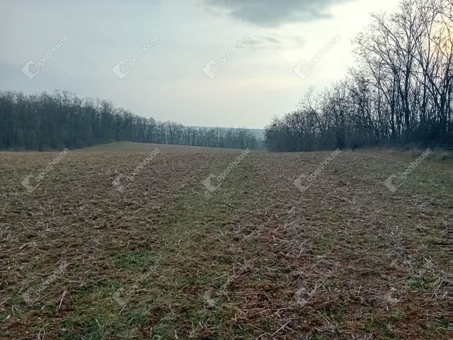 Eladó mezőgazdasági ingatlan Vértessomló 3724 nm