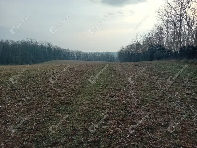 Eladó mezőgazdasági ingatlan Vértessomló 3724 nm