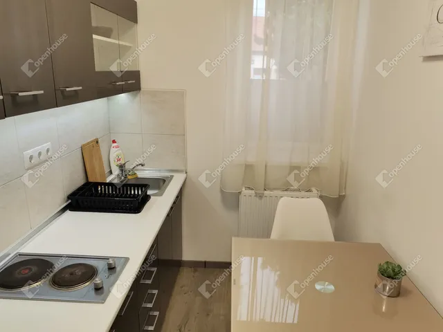 Kiadó ház Komárom, Szőny 304 nm