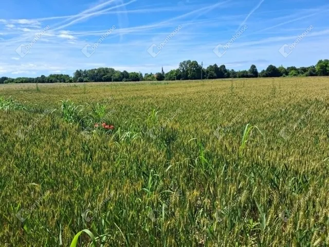 Eladó telek Zádor 6646 nm