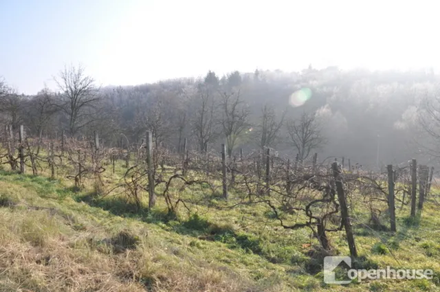 Eladó mezőgazdasági ingatlan Zalaegerszeg, Egerszeghegy 1180 nm