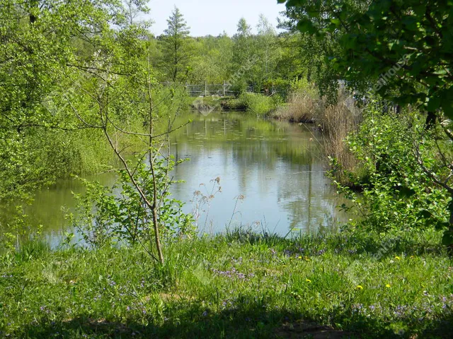 Eladó telek Zalaegerszeg, Pózva 8866 nm