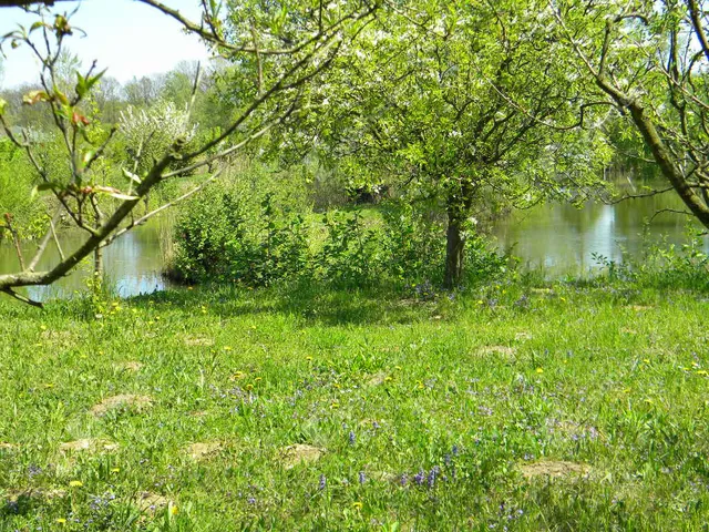 Eladó telek Zalaegerszeg, Pózva 8866 nm