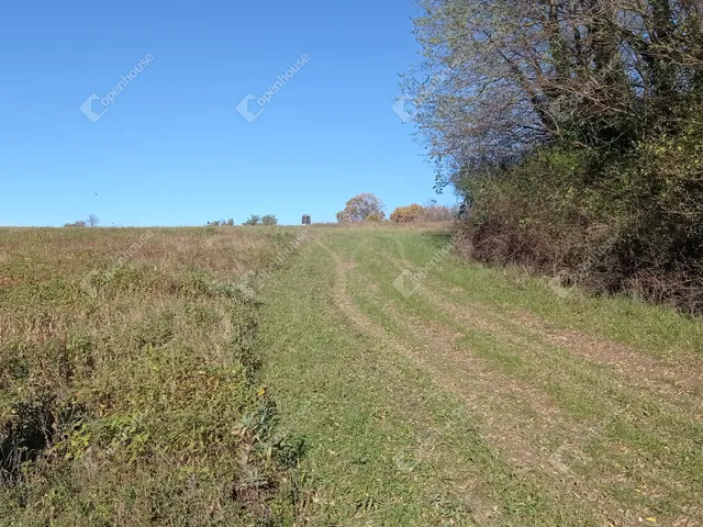 Eladó mezőgazdasági ingatlan Csatár 9403 nm