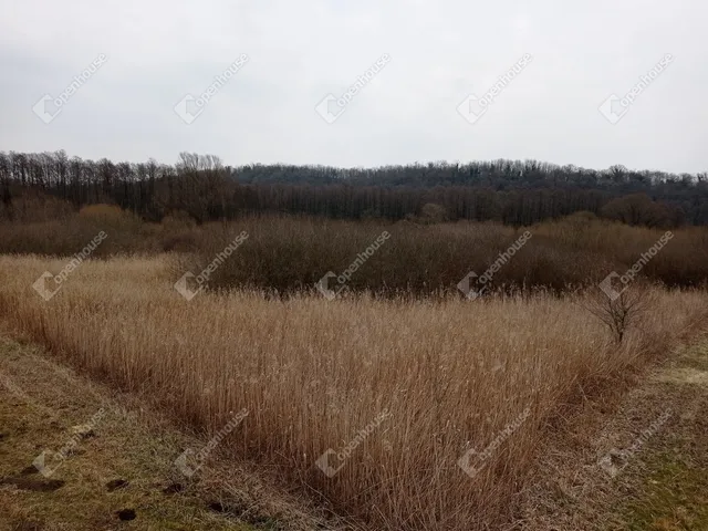 Eladó mezőgazdasági ingatlan Zalaegerszeg, Botfa 16587 nm