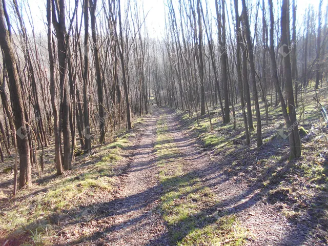 Eladó telek Babosdöbréte 24541 nm