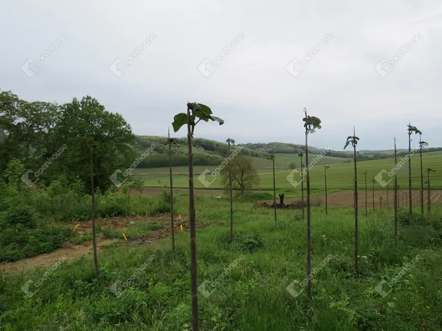 Eladó telek Babosdöbréte 2892 nm