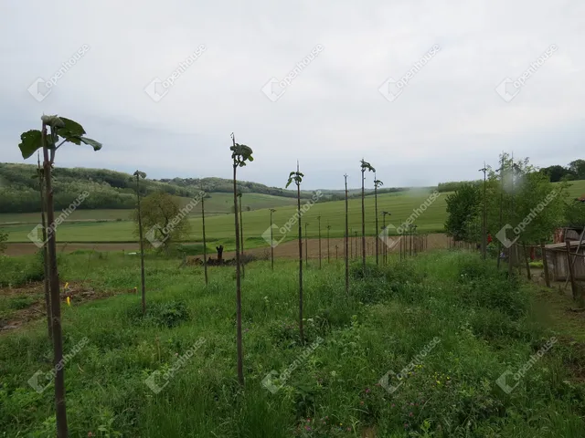 Eladó telek Babosdöbréte 2892 nm