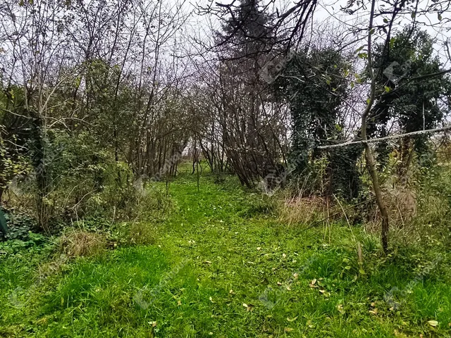 Eladó telek Sármellék 7300 nm