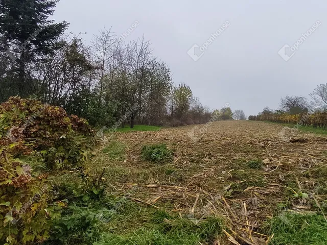 Eladó telek Sármellék 7300 nm