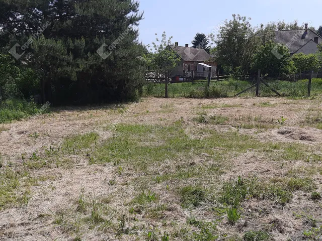 Eladó kereskedelmi és ipari ingatlan Salomvár 800 nm