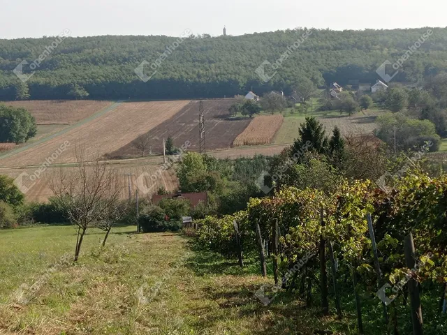 Eladó telek Nagykutas 3710 nm