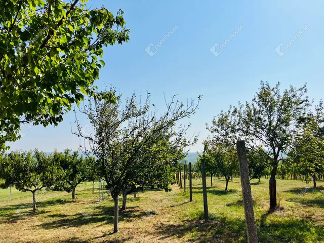 Eladó telek Alsópáhok 1500 nm