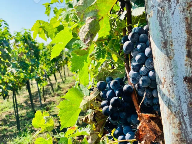 Eladó telek Alsópáhok 1500 nm