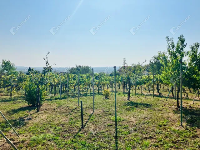 Eladó telek Alsópáhok 1500 nm