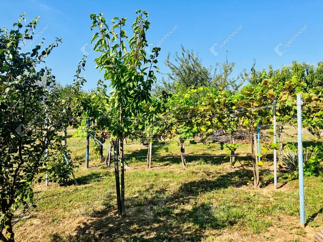 Eladó telek Alsópáhok 1500 nm