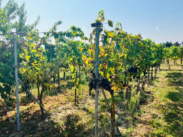 Eladó telek Alsópáhok 1500 nm