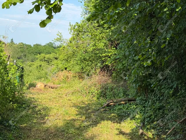 Eladó telek Zalaegerszeg 2149 nm