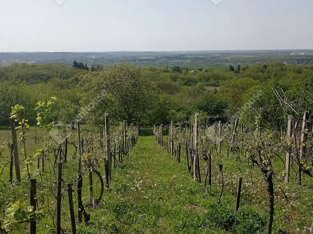 Eladó ház Zalaegerszeg 57 nm