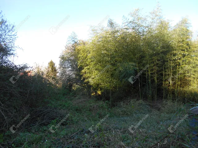 Eladó telek Zalaegerszeg 1320 nm