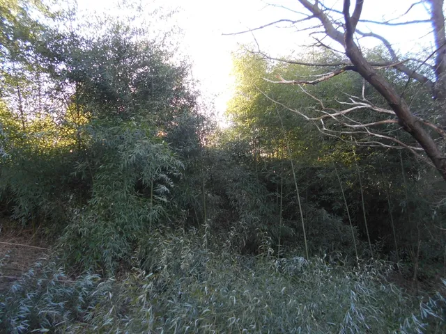Eladó telek Zalaegerszeg 1320 nm
