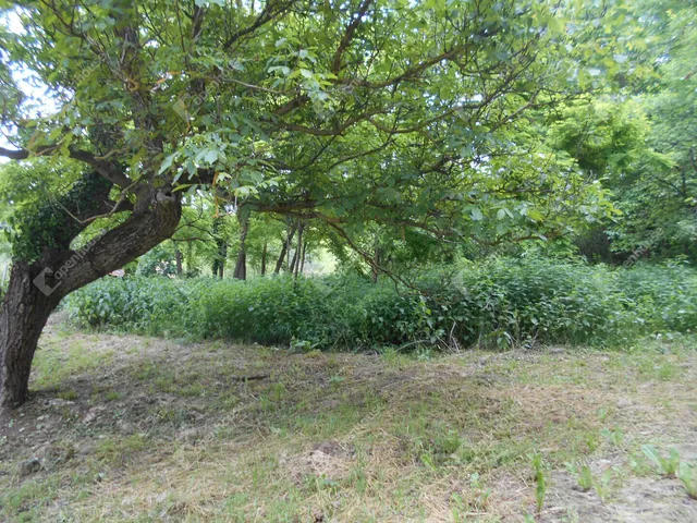 Eladó ház Vöckönd 78 nm