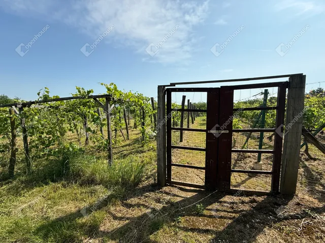Eladó telek Boncodfölde 1261 nm