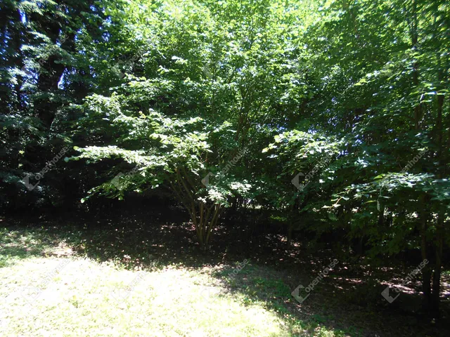 Eladó ház Hegyhátszentjakab 69 nm