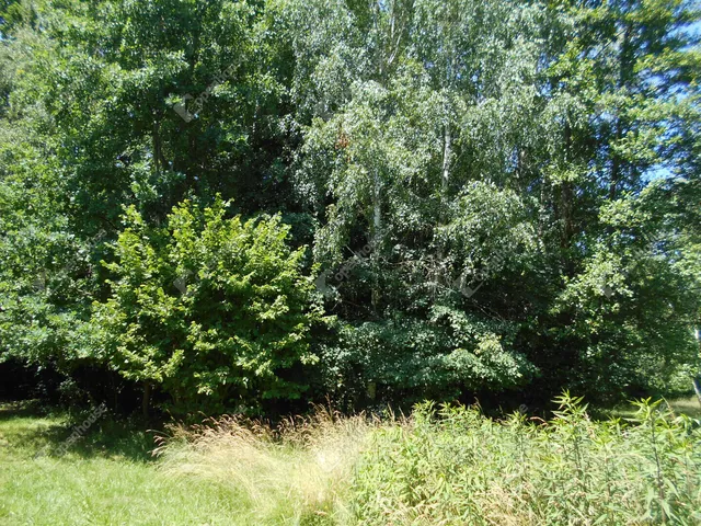 Eladó ház Hegyhátszentjakab 69 nm