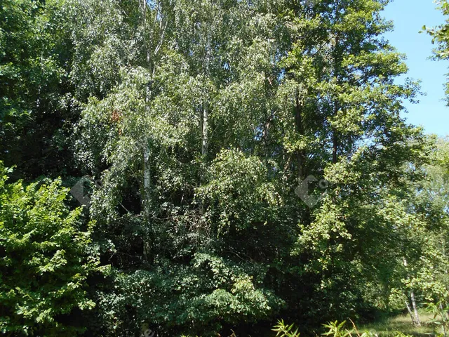 Eladó ház Hegyhátszentjakab 69 nm