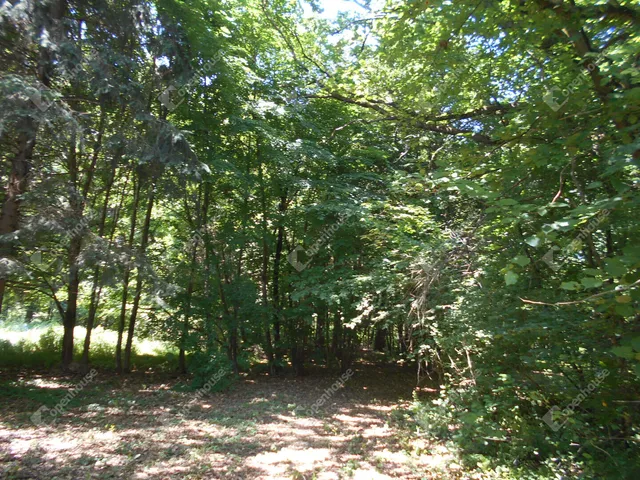 Eladó ház Hegyhátszentjakab 69 nm