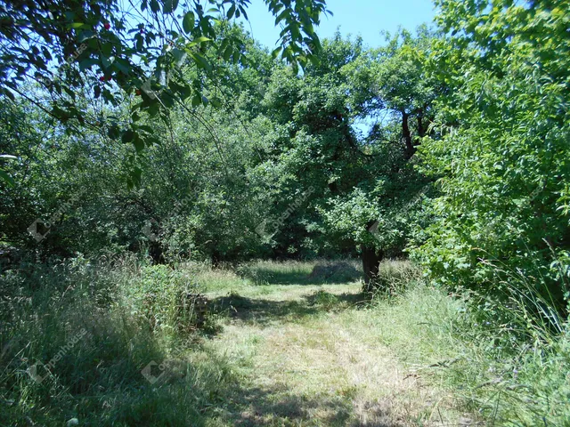 Eladó ház Hegyhátszentjakab 69 nm