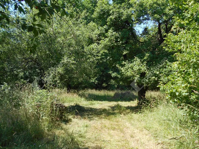 Eladó ház Hegyhátszentjakab 69 nm