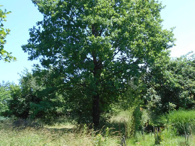 Eladó ház Hegyhátszentjakab 69 nm