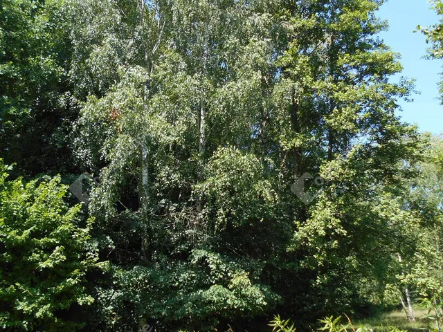 Eladó ház Hegyhátszentjakab 69 nm