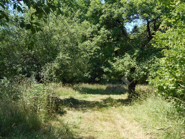 Eladó ház Hegyhátszentjakab 69 nm