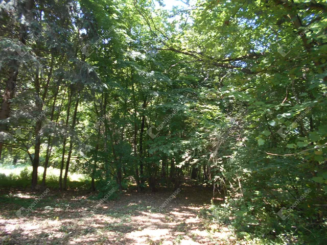 Eladó ház Hegyhátszentjakab 69 nm