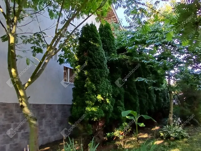 Eladó ház Gutorfölde 141 nm