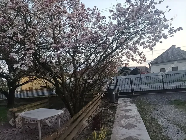 Eladó ház Pacsa 102 nm