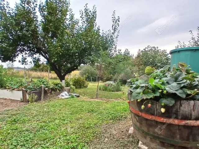 Eladó telek Zalaegerszeg, Bazita 813 nm