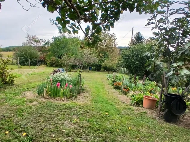 Eladó telek Zalaegerszeg, Bazita 813 nm