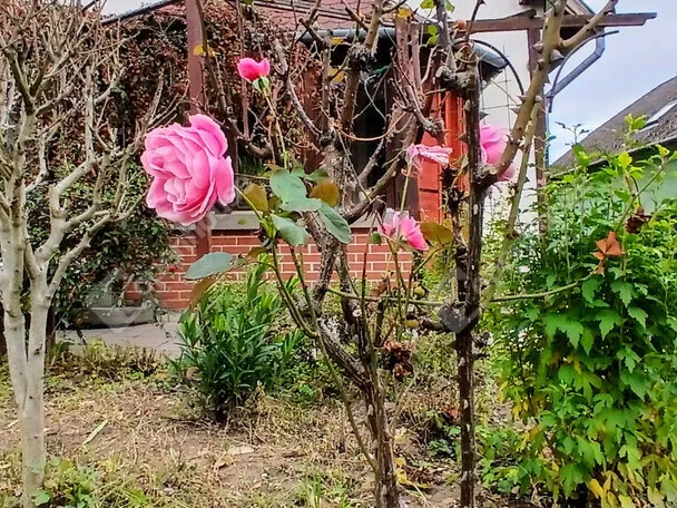 Eladó ház Alsópáhok 103 nm